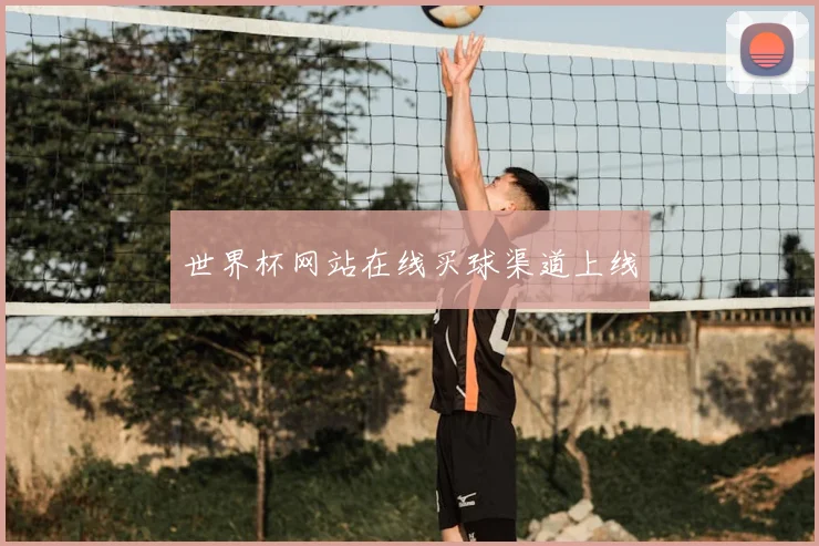 世界杯网站在线买球渠道上线